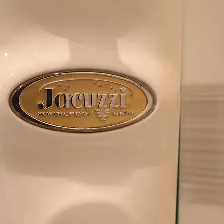 总统公园酒店 阿茨特雷扎